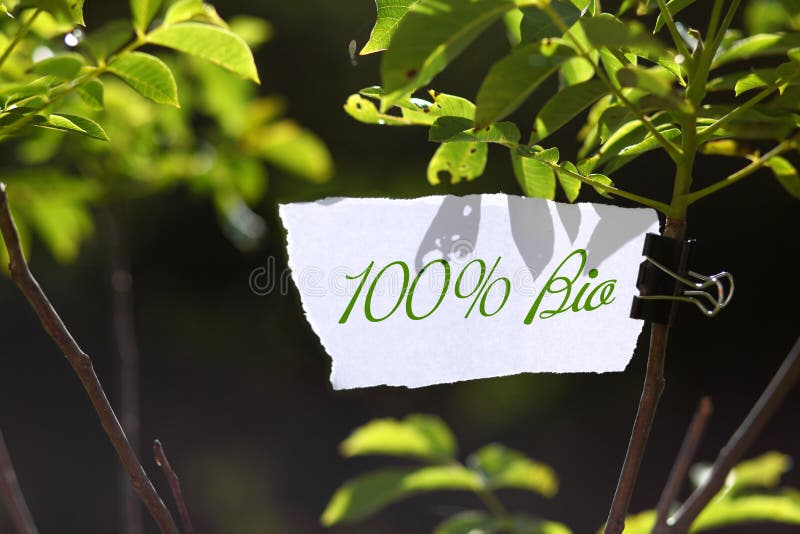 One hundred percent bio advertisement on piece of paper cardboard on tree branch in nature. One hundred percent bio advertisement on piece of paper cardboard on tree branch in nature